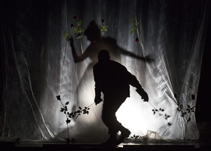 La bella o la bestia - foto di Matteo Chiura (28) La bella o la bestia - foto di Matteo Chiura (28)